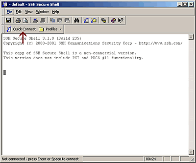 Image of SSH Secure Shell default window.